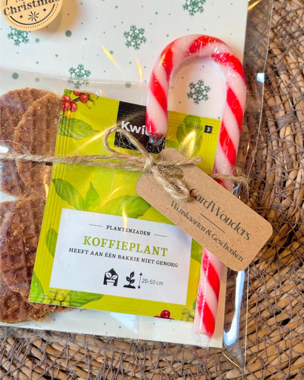 Kerstcadeautje Koffieplant