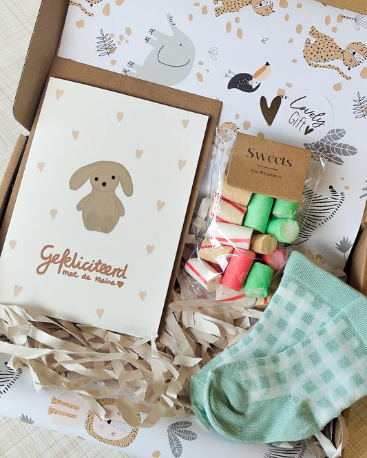 geboorte felicitatie pakket cadeau versturen brievenbuscadeau konijntje