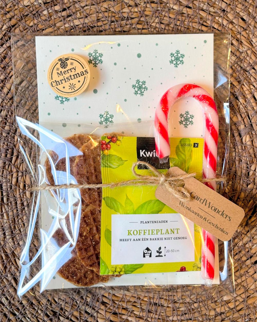 Kerstcadeautje Koffieplant