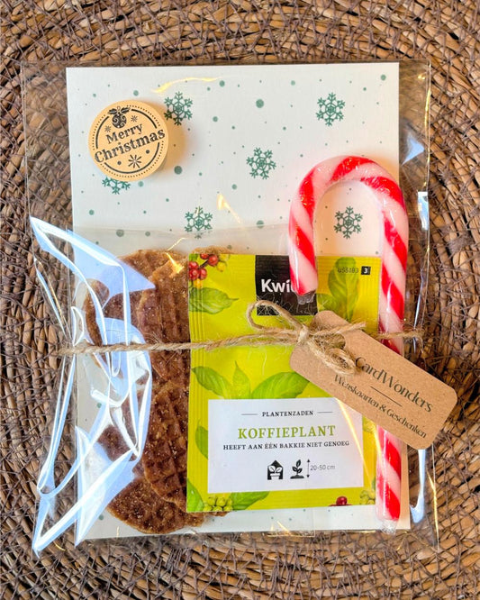 Kerstcadeautje Koffieplant