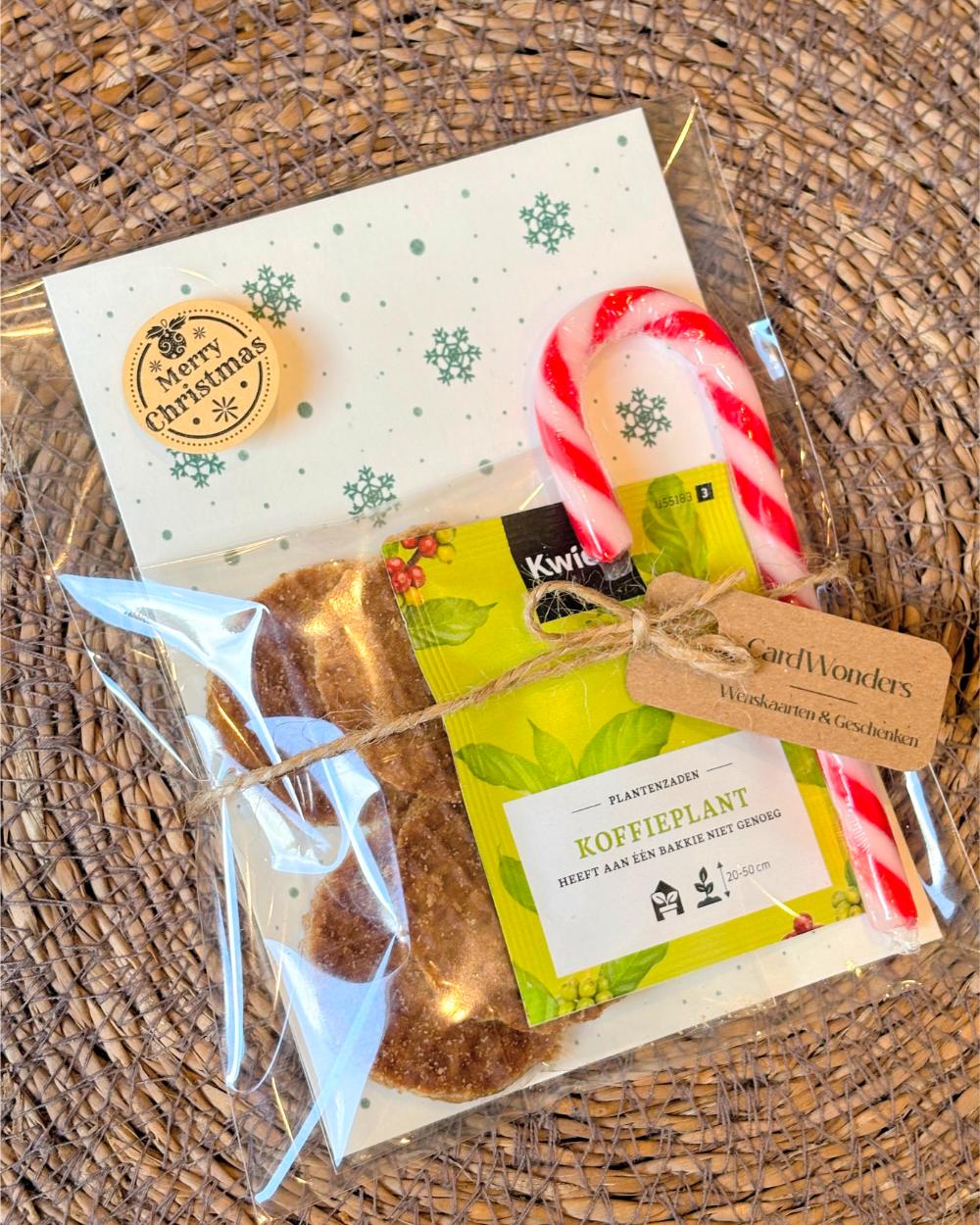 Kerstcadeautje Koffieplant