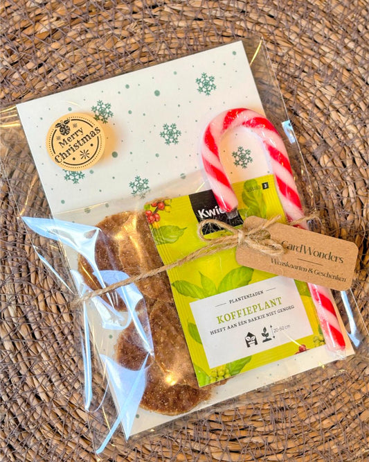 Kerstcadeautje Koffieplant