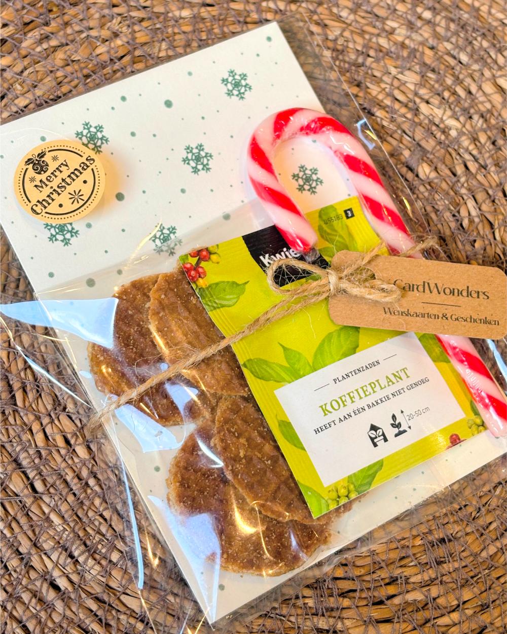 Kerstcadeautje Koffieplant