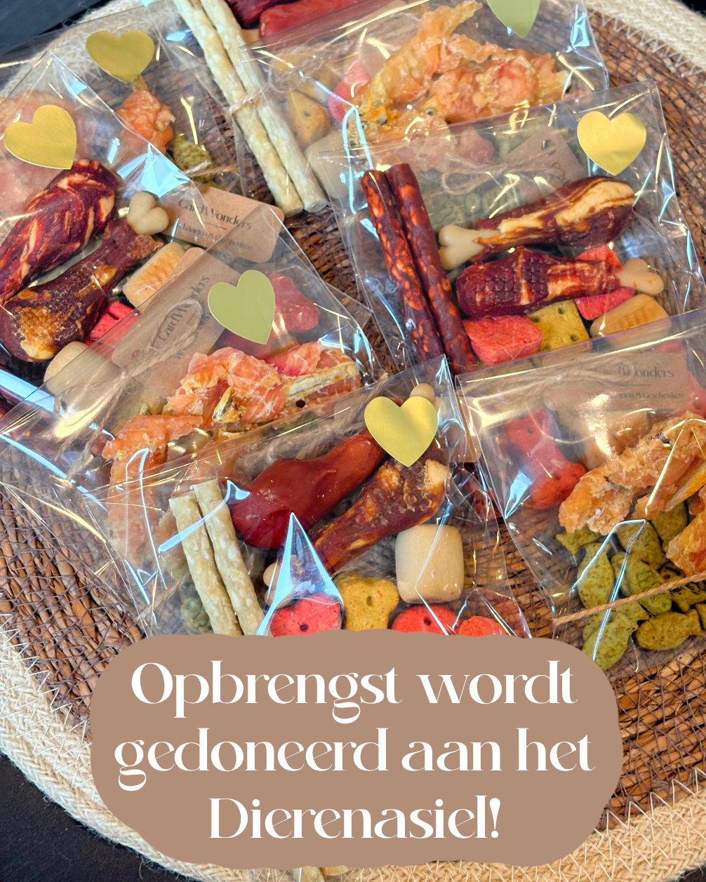 Dierendagcadeautje voor de Hond 🐶